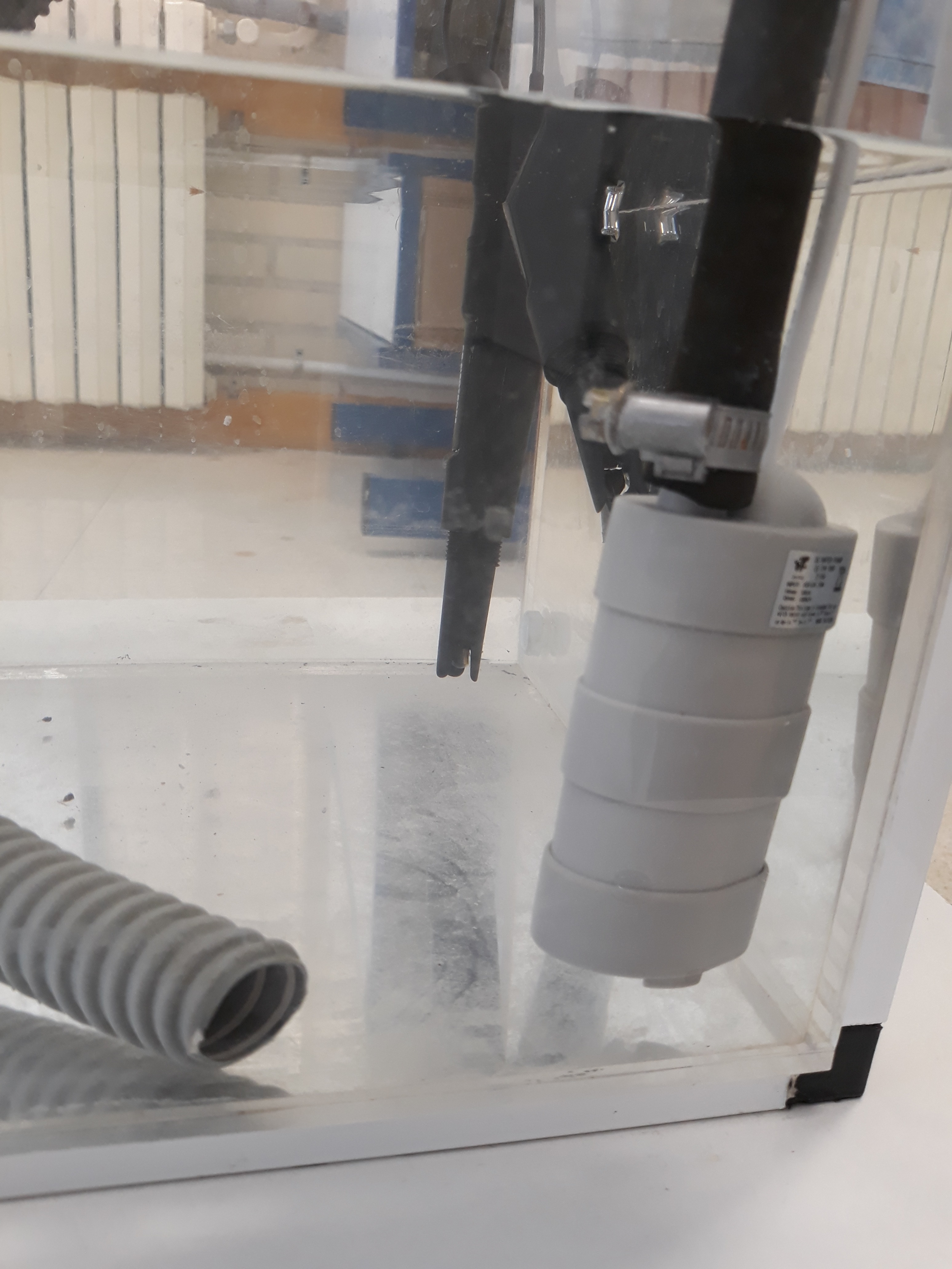 20180525 JdL Hidropónico 115.jpg